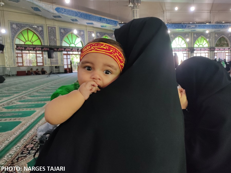shirkharegan1