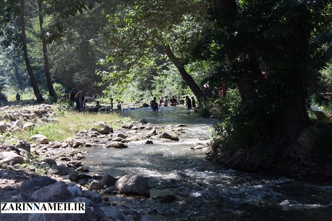 zarinngool1